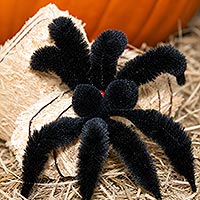Small image of a pipe cleaner spider made with bump chenille.