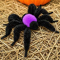 Small image of a pipe cleaner spider made with black bump chenille and black and purple pom poms for the body.